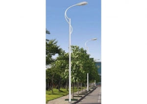 南昌香蕉黄色网展示